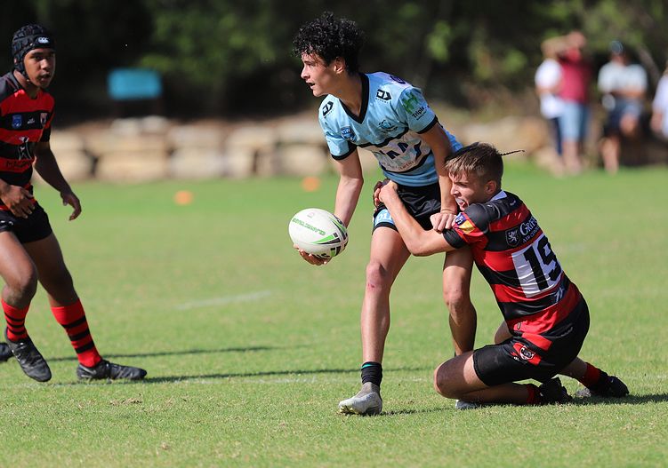 U16s Academy BEARS v SHARKS