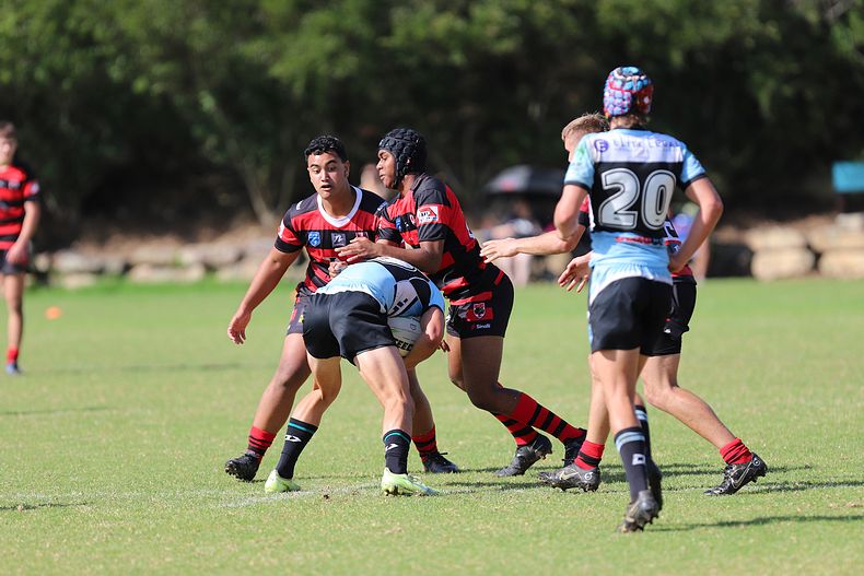 U16s Academy BEARS v SHARKS