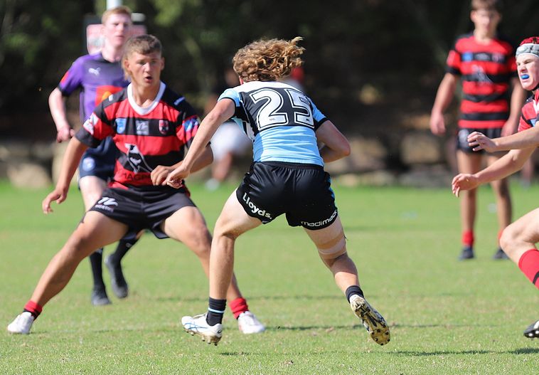 U16s Academy BEARS v SHARKS
