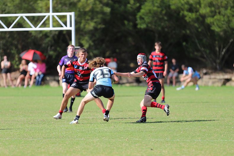 U16s Academy BEARS v SHARKS