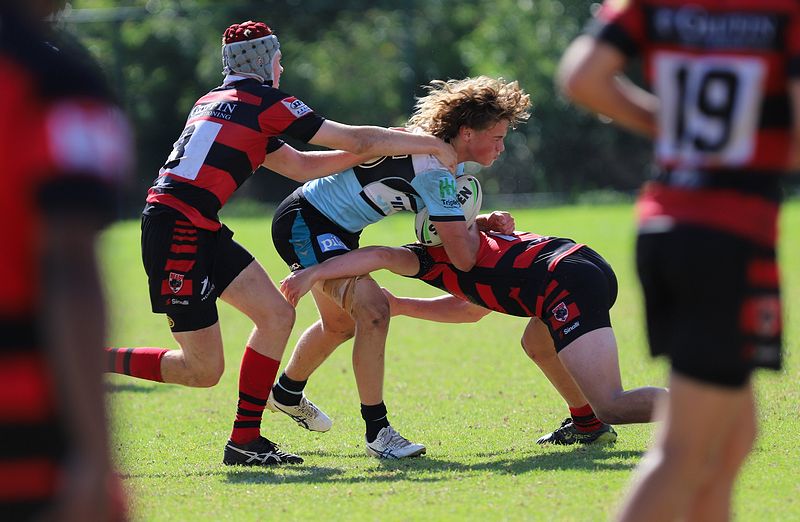 U16s Academy BEARS v SHARKS
