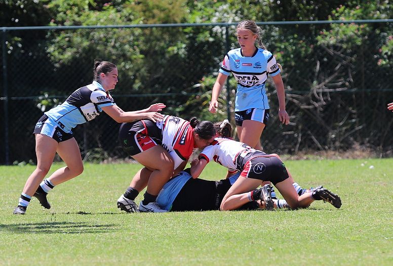 TGC Rnd 1 BEARS v SHARKS