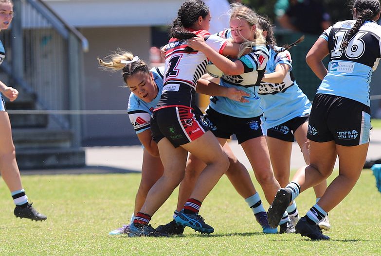 TGC Rnd 1 BEARS v SHARKS
