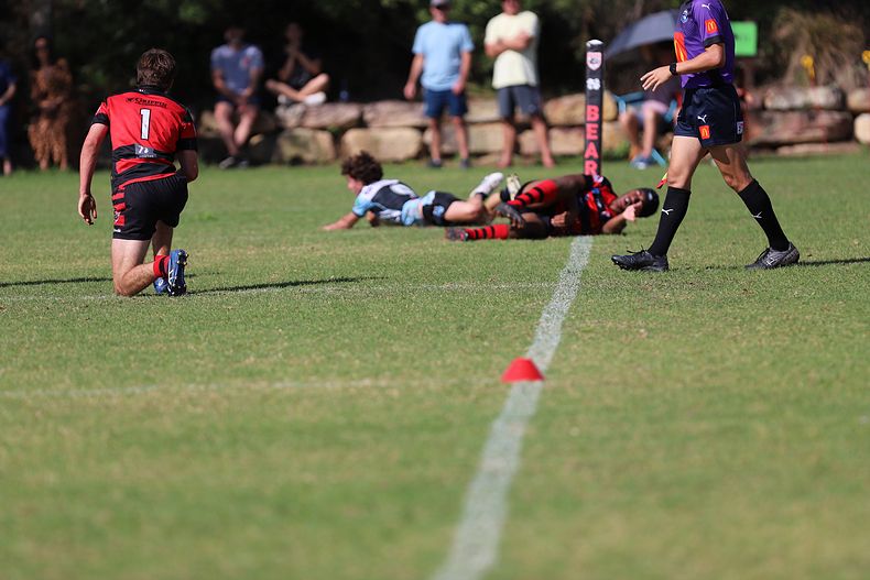 U16s Academy BEARS v SHARKS
