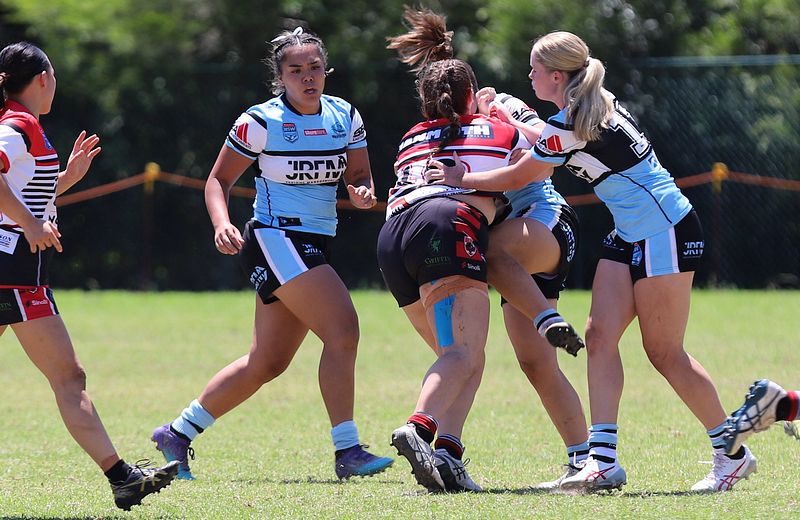 TGC Rnd 1 BEARS v SHARKS
