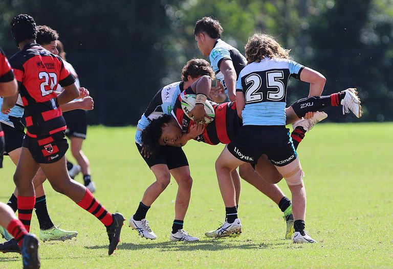 U16s Academy BEARS v SHARKS