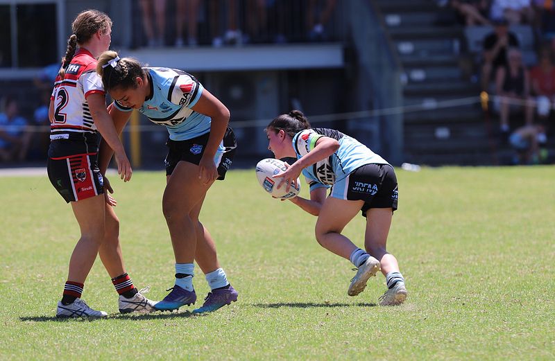 TGC Rnd 1 BEARS v SHARKS