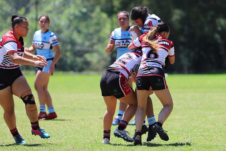 TGC Rnd 1 BEARS v SHARKS