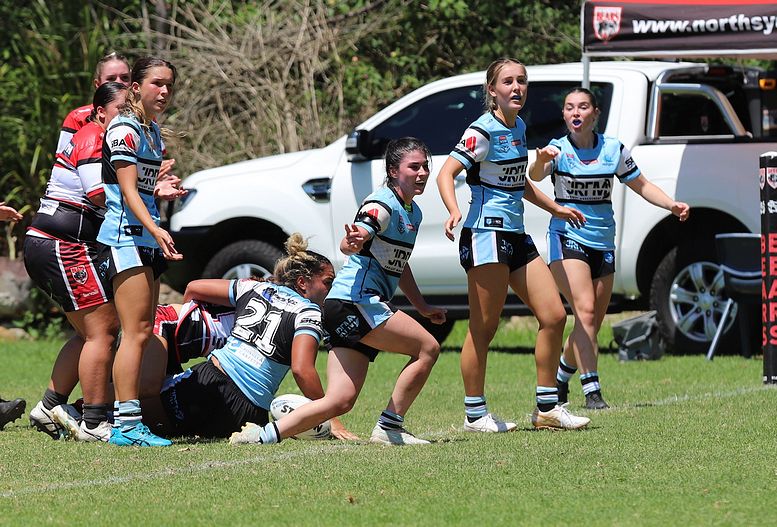 TGC Rnd 1 BEARS v SHARKS