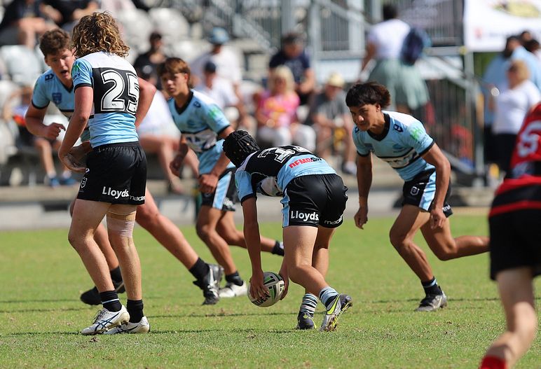 U16s Academy BEARS v SHARKS