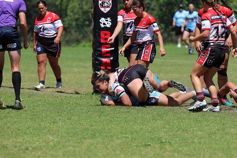 TGC Rnd 1 BEARS v SHARKS