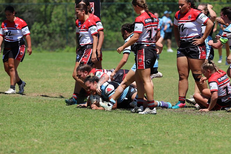 TGC Rnd 1 BEARS v SHARKS
