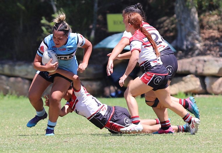 TGC Rnd 1 BEARS v SHARKS