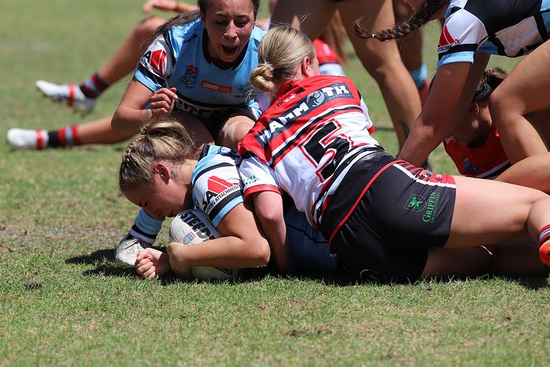 TGC Rnd 1 BEARS v SHARKS