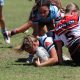 NSWRL u19's Tarsha Gale Cup Action Photo's Rnd 2 North Sydney Bears vs Cronulla-Sutherland Sharks (Photo's : Steve Montgomery)