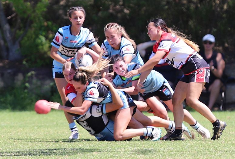TGC Rnd 1 BEARS v SHARKS