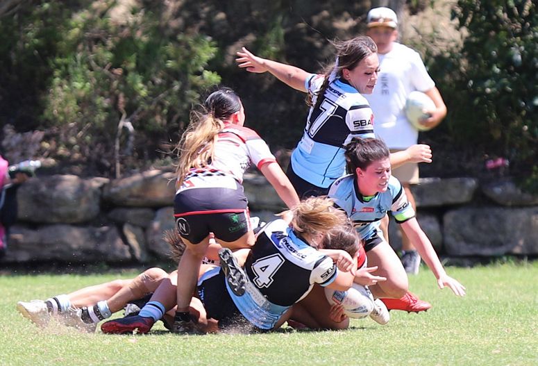 TGC Rnd 1 BEARS v SHARKS