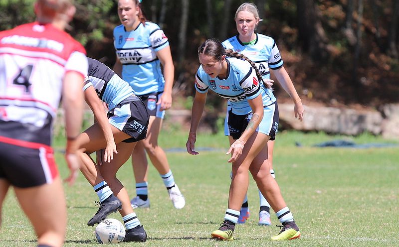 HNWP Rnd 2 BEARS v SHARKS
