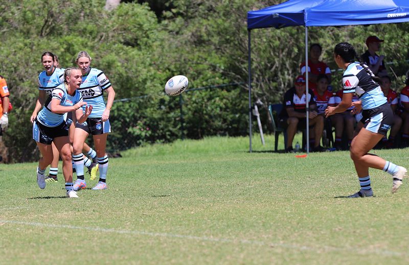 HNWP Rnd 2 BEARS v SHARKS