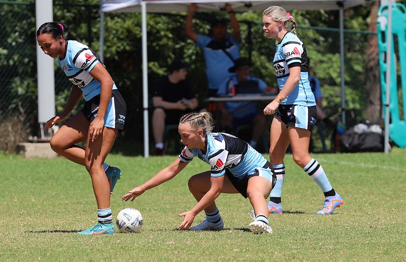 HNWP Rnd 2 BEARS v SHARKS