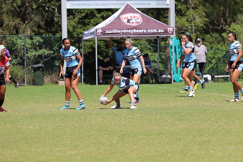 HNWP Rnd 2 BEARS v SHARKS