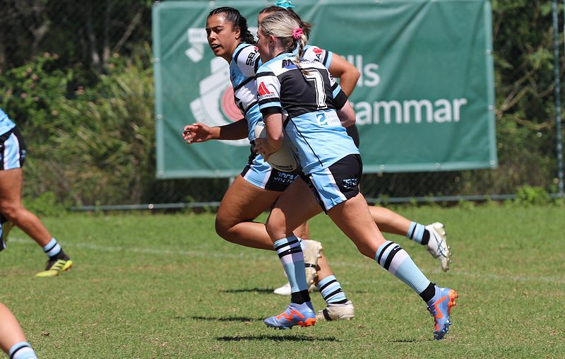 HNWP Rnd 2 BEARS v SHARKS