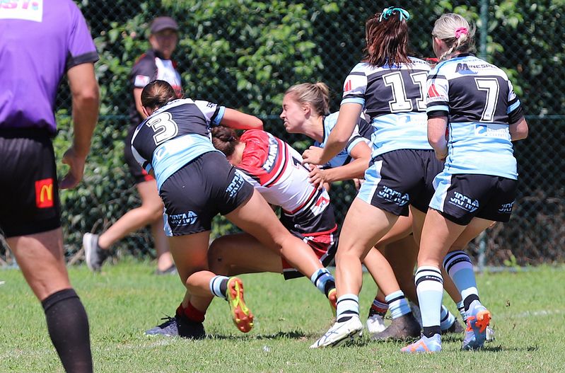 HNWP Rnd 2 BEARS v SHARKS