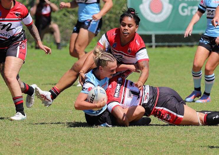 HNWP Rnd 2 BEARS v SHARKS