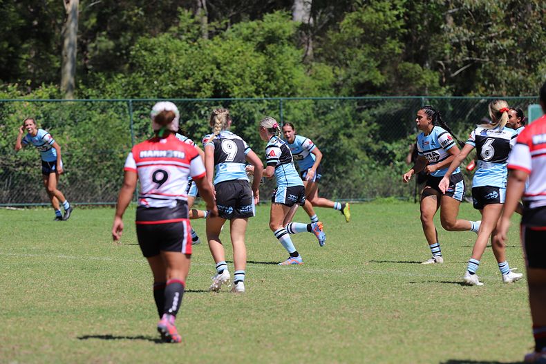 HNWP Rnd 2 BEARS v SHARKS