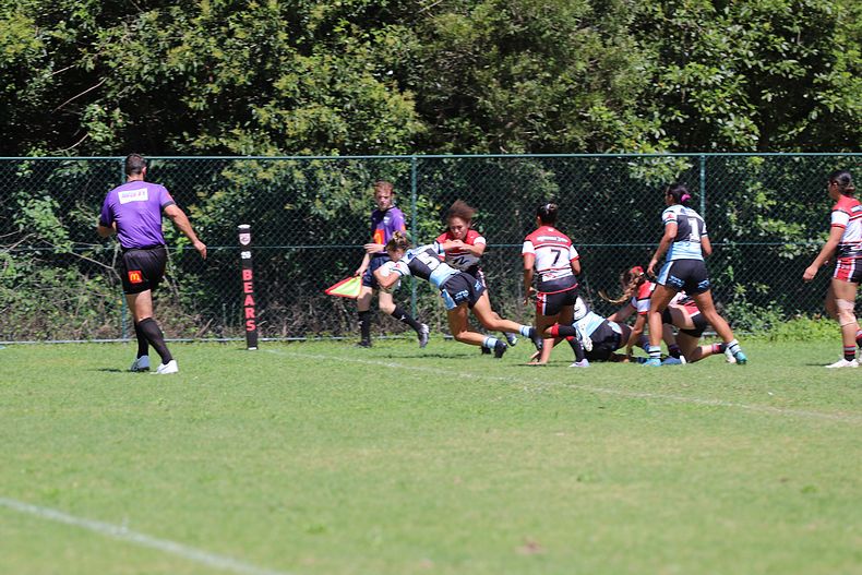 HNWP Rnd 2 BEARS v SHARKS