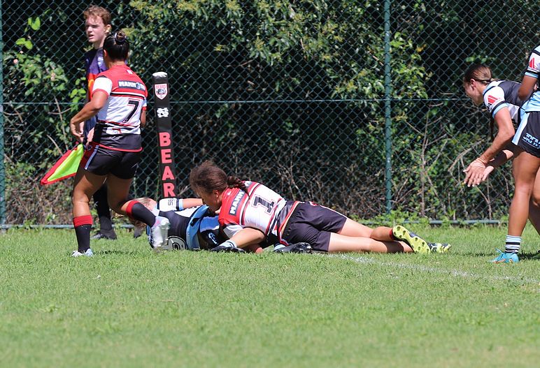 HNWP Rnd 2 BEARS v SHARKS
