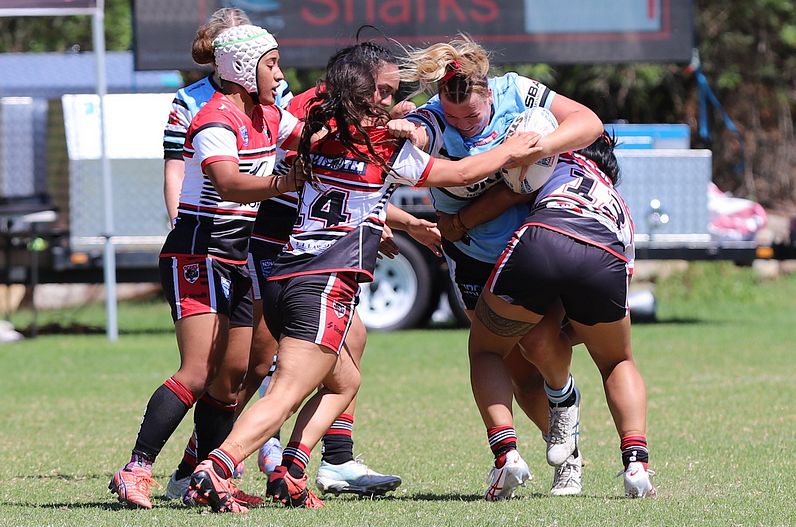 HNWP Rnd 2 BEARS v SHARKS
