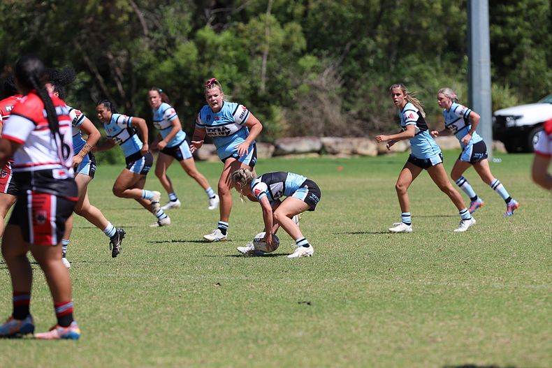 HNWP Rnd 2 BEARS v SHARKS