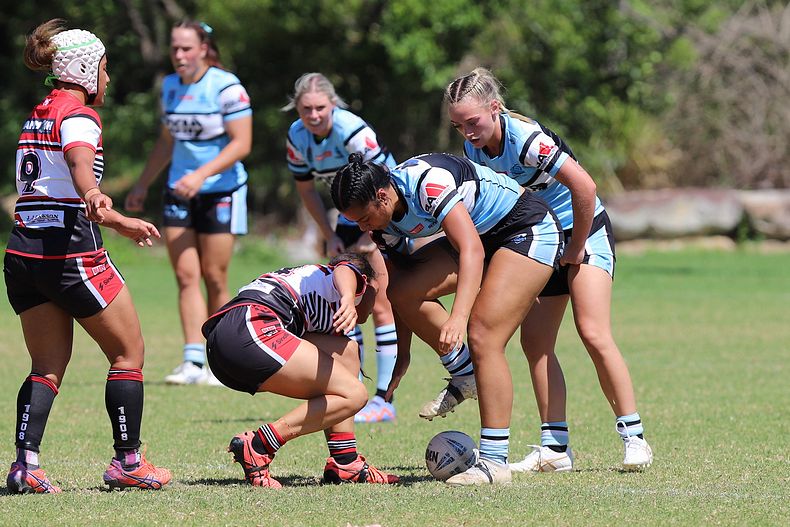 HNWP Rnd 2 BEARS v SHARKS