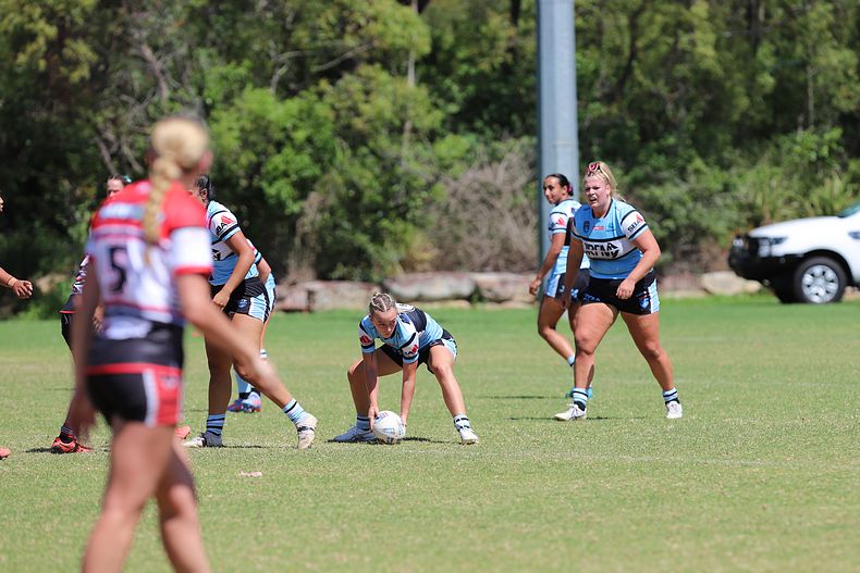 HNWP Rnd 2 BEARS v SHARKS