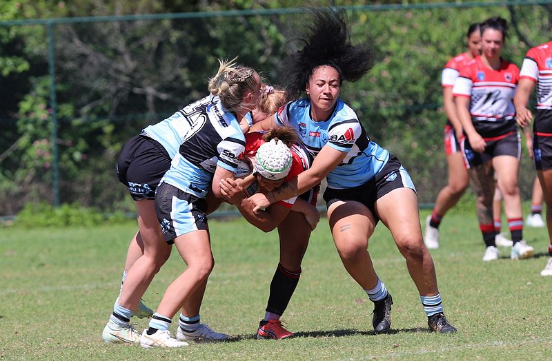 HNWP Rnd 2 BEARS v SHARKS