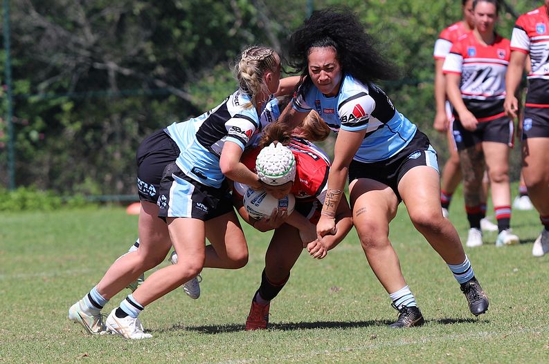 HNWP Rnd 2 BEARS v SHARKS