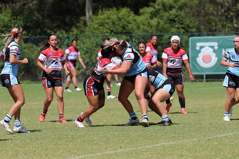 HNWP Rnd 2 BEARS v SHARKS