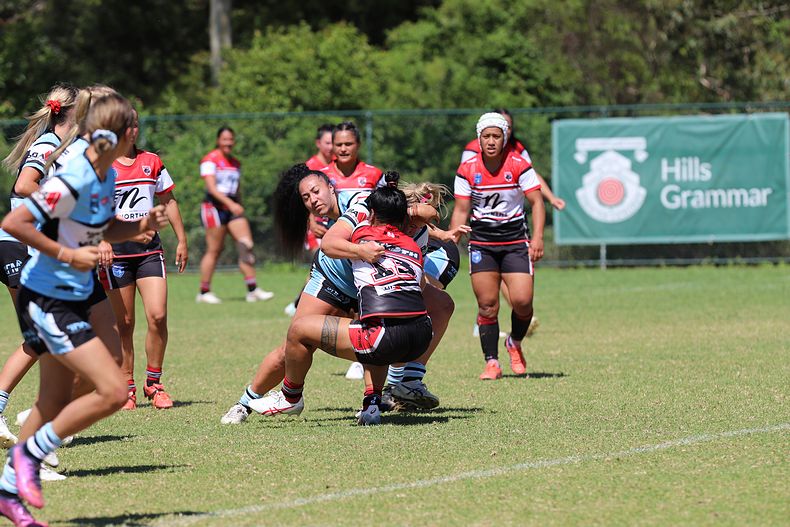 HNWP Rnd 2 BEARS v SHARKS