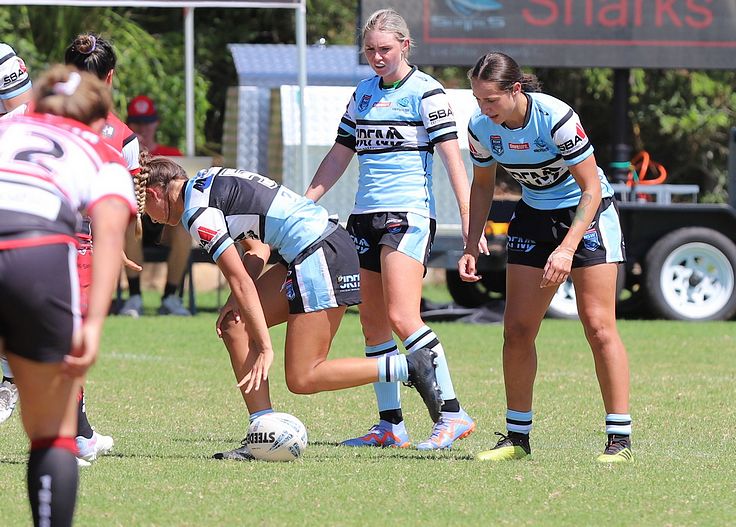 HNWP Rnd 2 BEARS v SHARKS