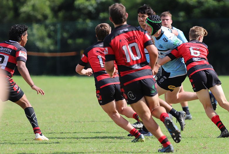 U16s Academy BEARS v SHARKS