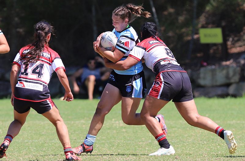 HNWP Rnd 2 BEARS v SHARKS