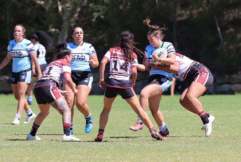 HNWP Rnd 2 BEARS v SHARKS