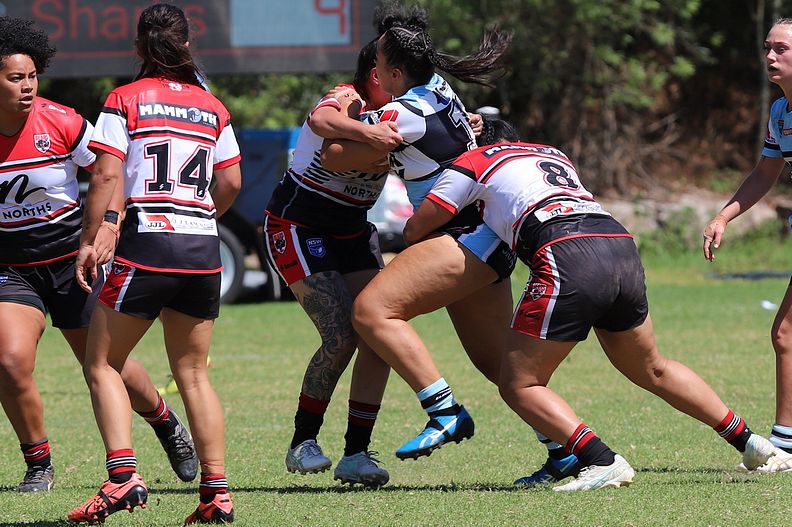 HNWP Rnd 2 BEARS v SHARKS