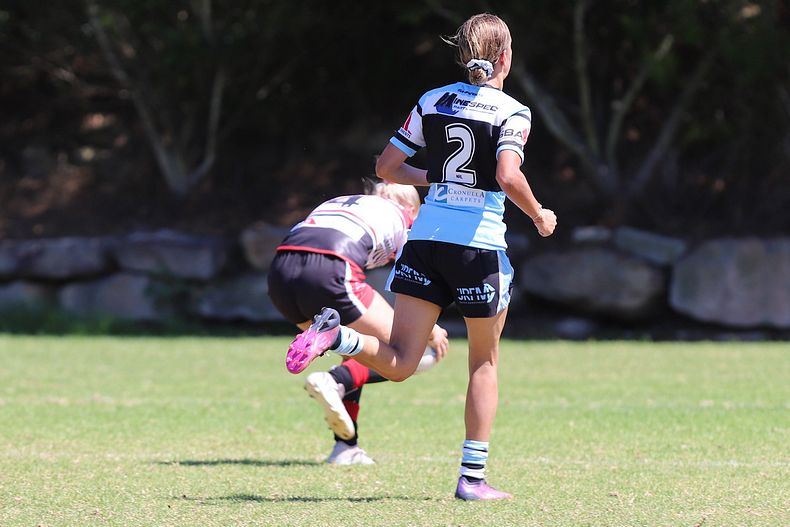 HNWP Rnd 2 BEARS v SHARKS