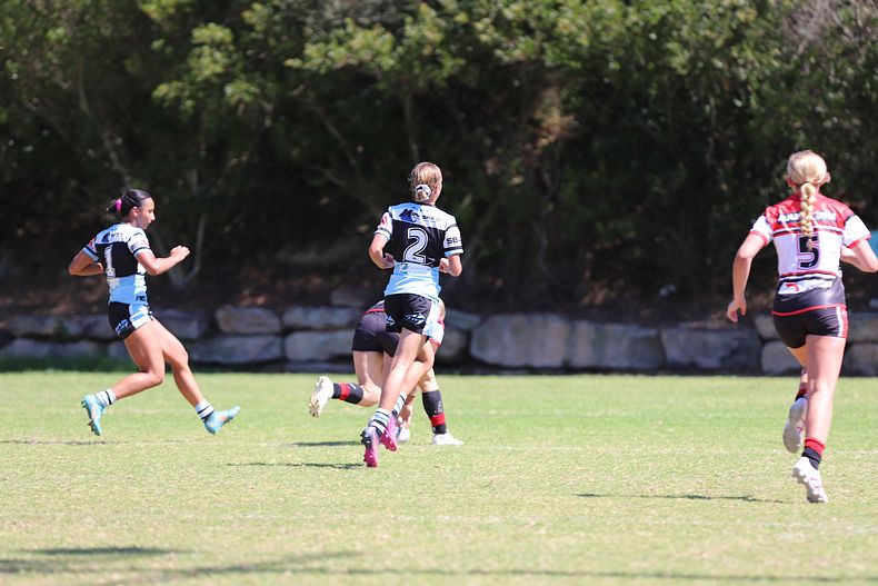 HNWP Rnd 2 BEARS v SHARKS
