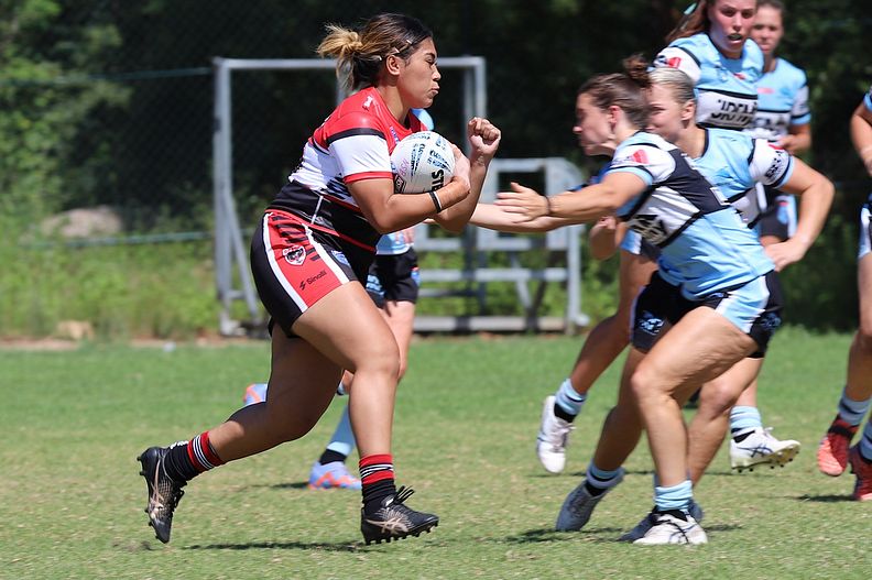 HNWP Rnd 2 BEARS v SHARKS