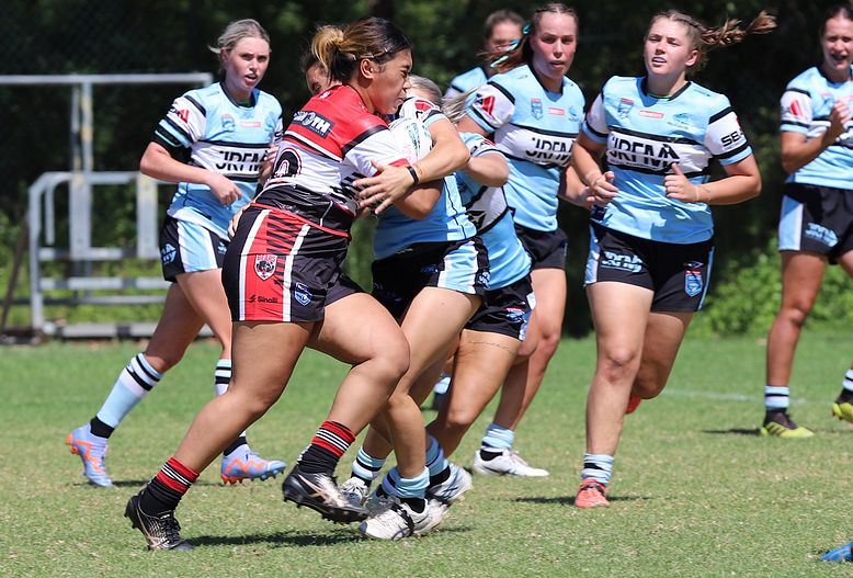 HNWP Rnd 2 BEARS v SHARKS