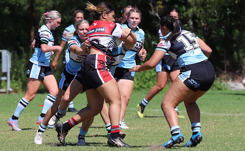 HNWP Rnd 2 BEARS v SHARKS