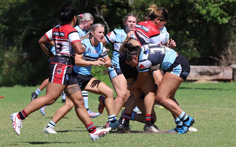 HNWP Rnd 2 BEARS v SHARKS
